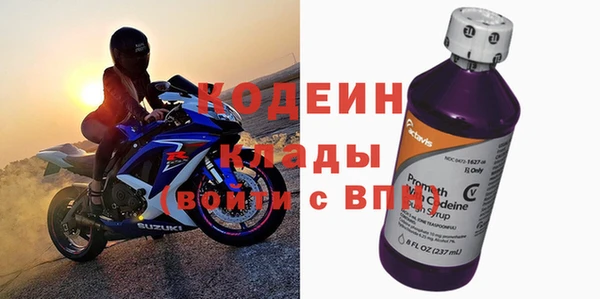шишки Горняк