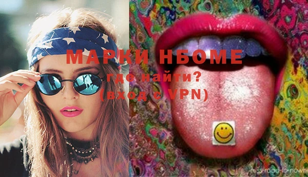 шишки Горняк