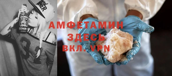 шишки Горняк