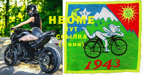 шишки Горняк
