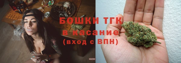 шишки Горняк