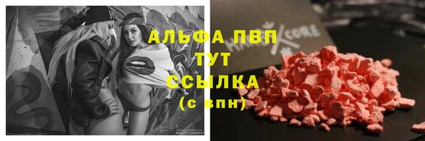 шишки Горняк