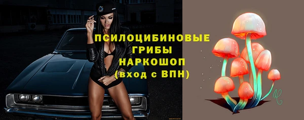 ешки Горно-Алтайск