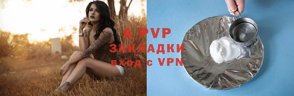 стафф Горнозаводск
