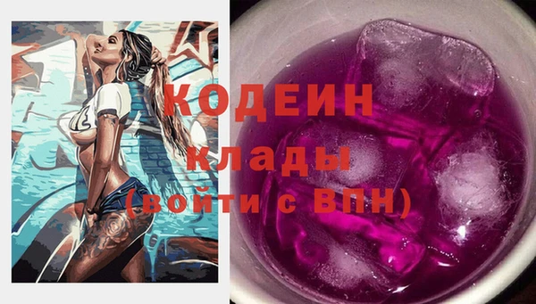 шишки Горняк