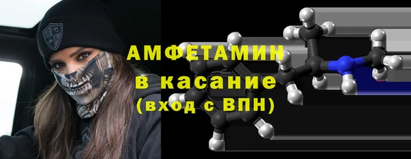 шишки Горняк