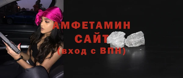 шишки Горняк