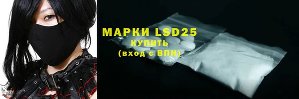 шишки Горняк