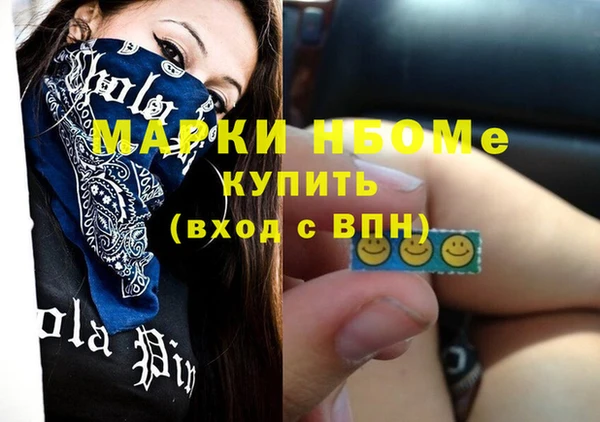 шишки Горняк