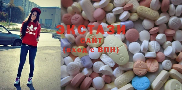 шишки Горняк