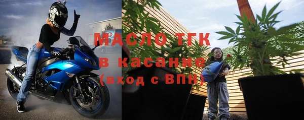 шишки Горняк