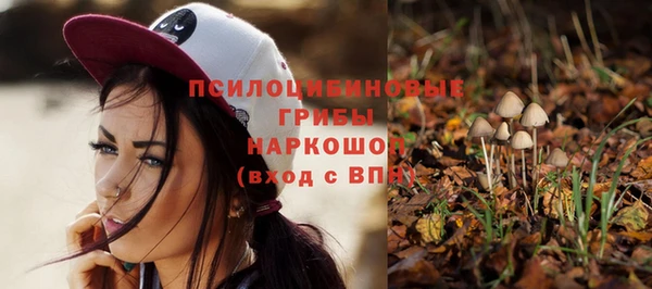 стафф Горнозаводск