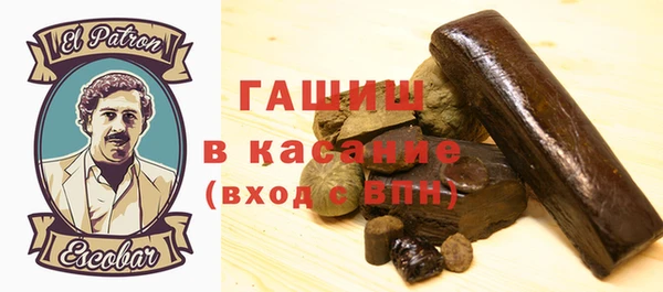 шишки Горняк