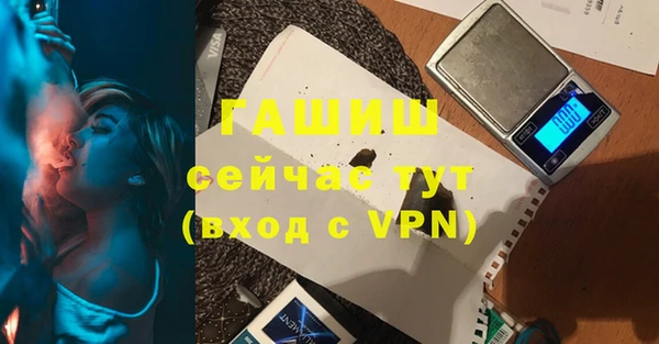 шишки Горняк