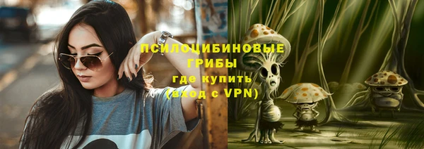 ешки Горно-Алтайск