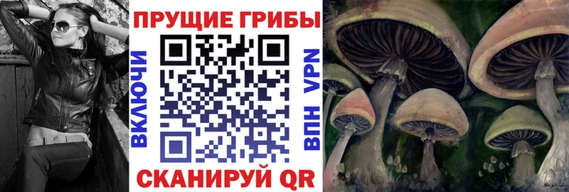 Купить где  Курильск  Галлюциногенные грибы GOLDEN TEACHER 