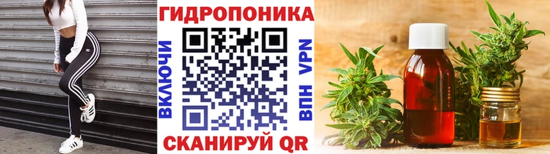 Купить где  Курильск  Канабис Bruce Banner 